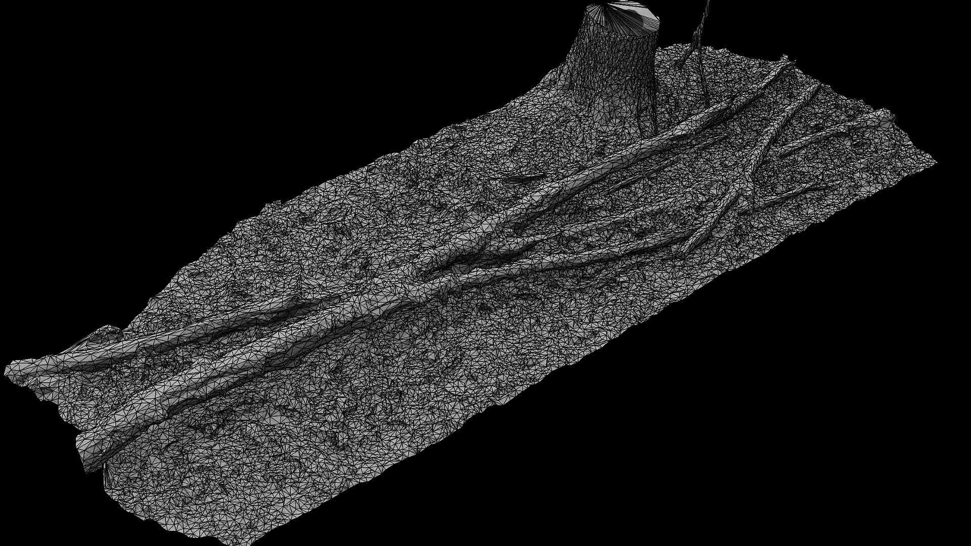 forest ground mossy tree branches debris pt11 photogrammetry Low-poly 3D model_7