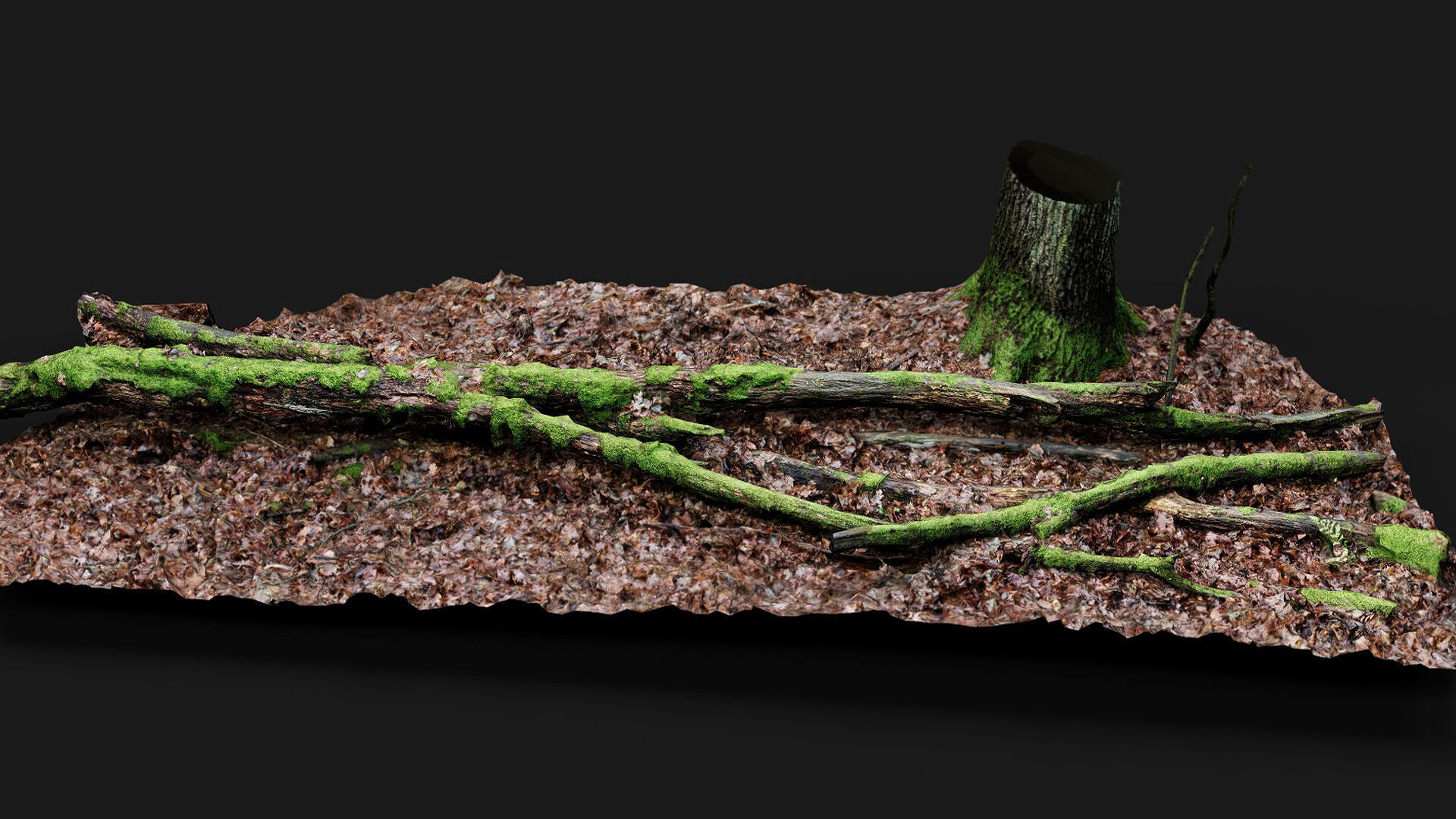 forest ground mossy tree branches debris pt11 photogrammetry Low-poly 3D model_6