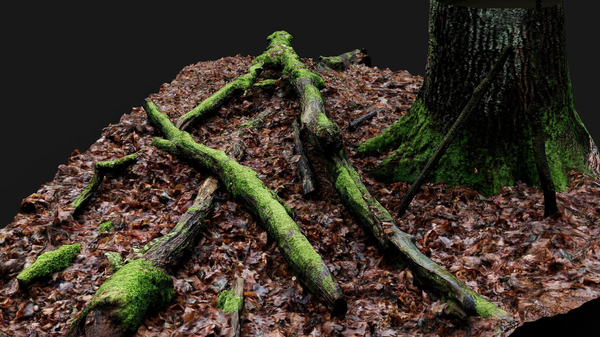 forest ground mossy tree branches debris pt11 photogrammetry Low-poly 3D model_2
