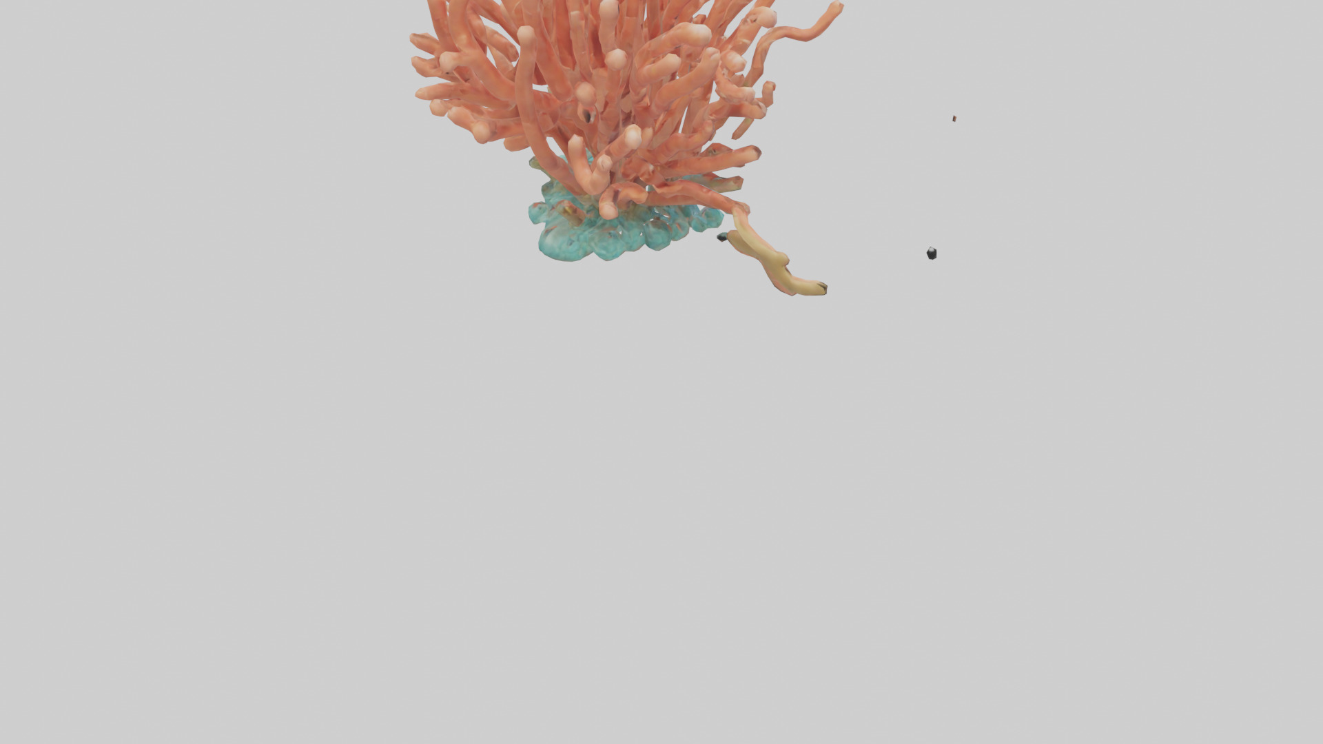 Cartoon Coral model 3D model_4