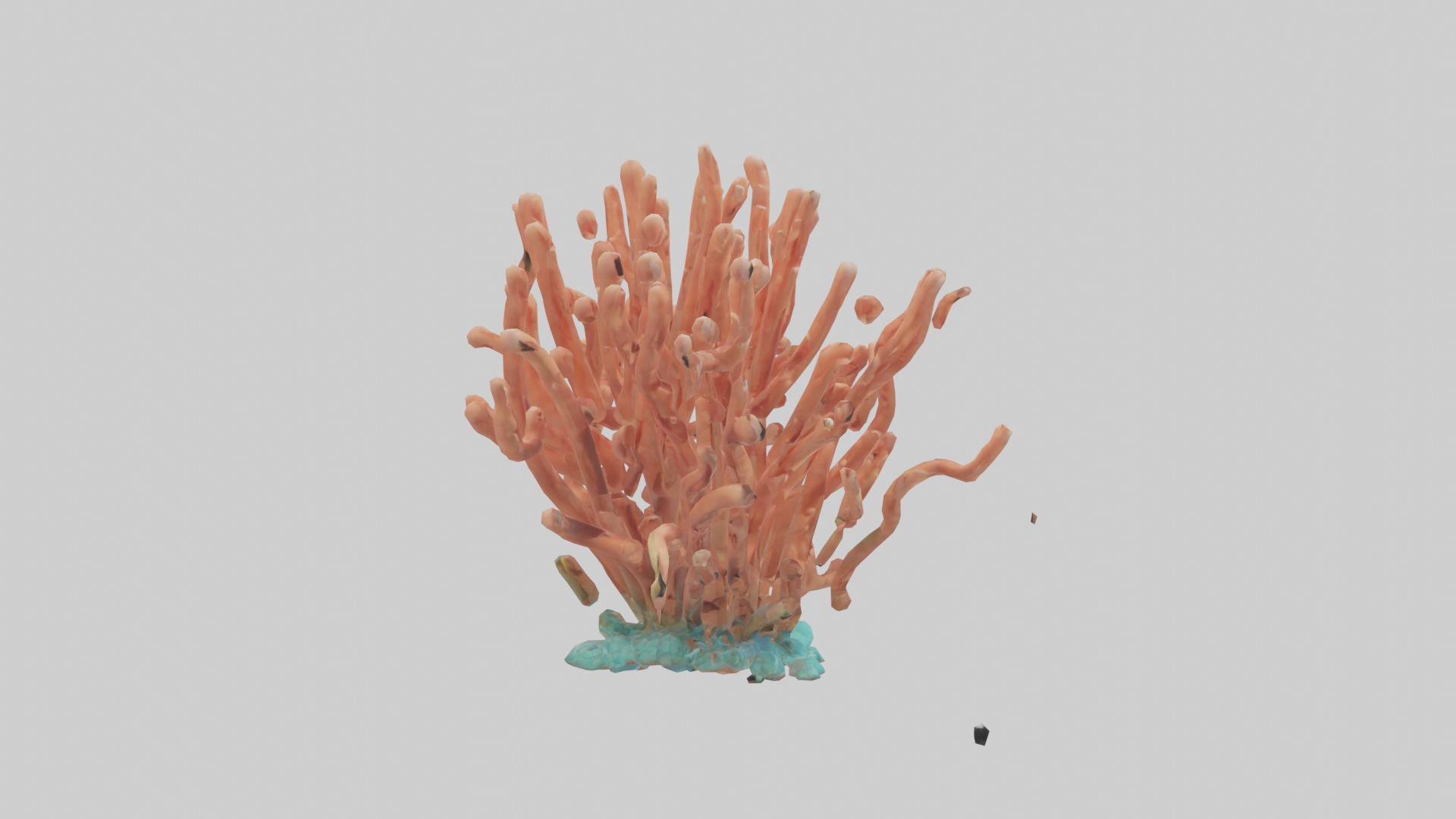 Cartoon Coral model 3D model_13