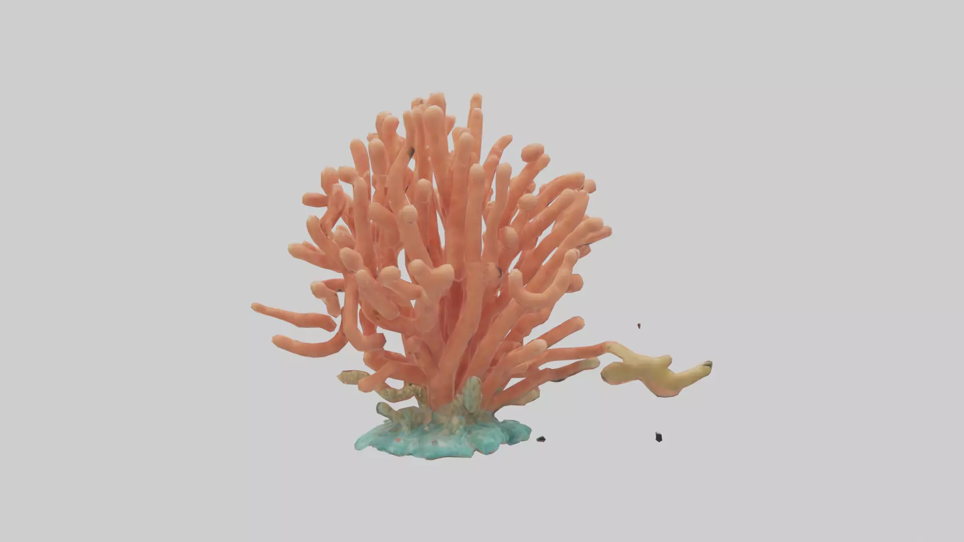 Cartoon Coral model 3D model_0