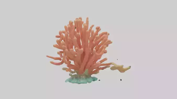 Cartoon Coral model