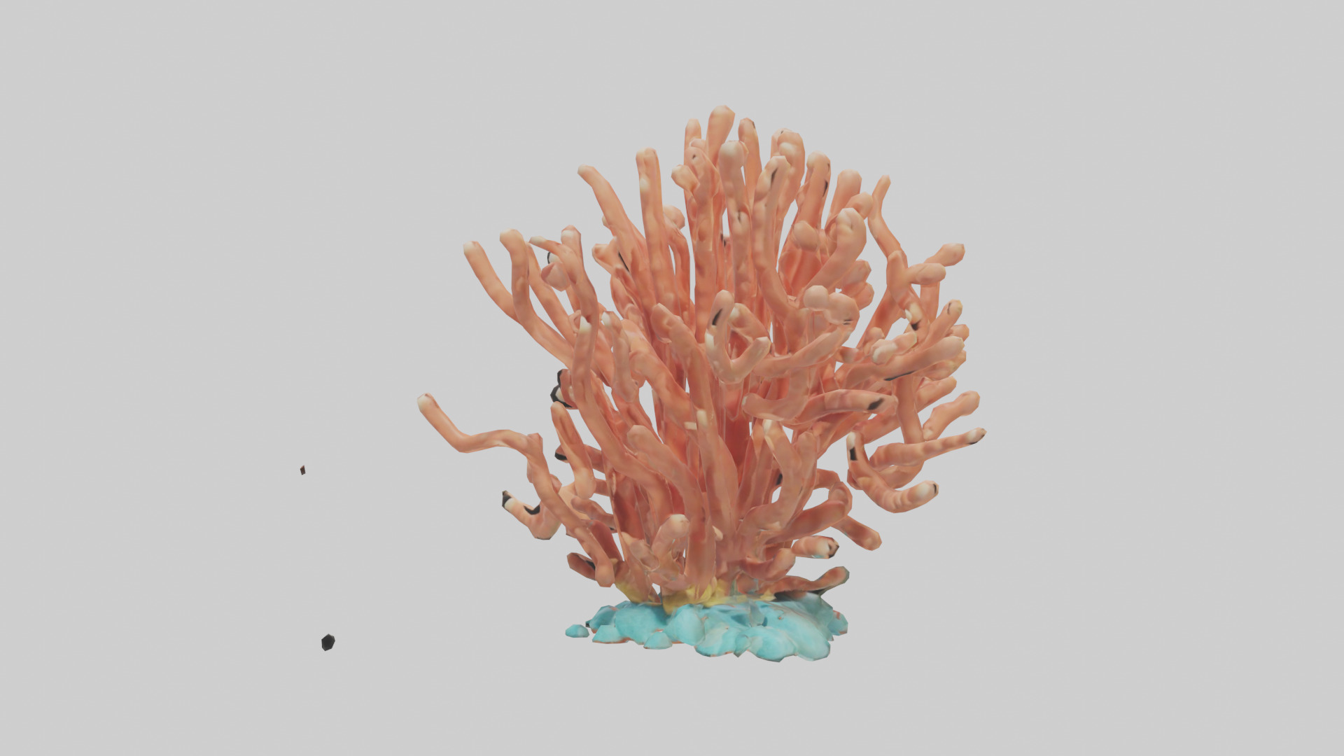 Cartoon Coral model 3D model_8