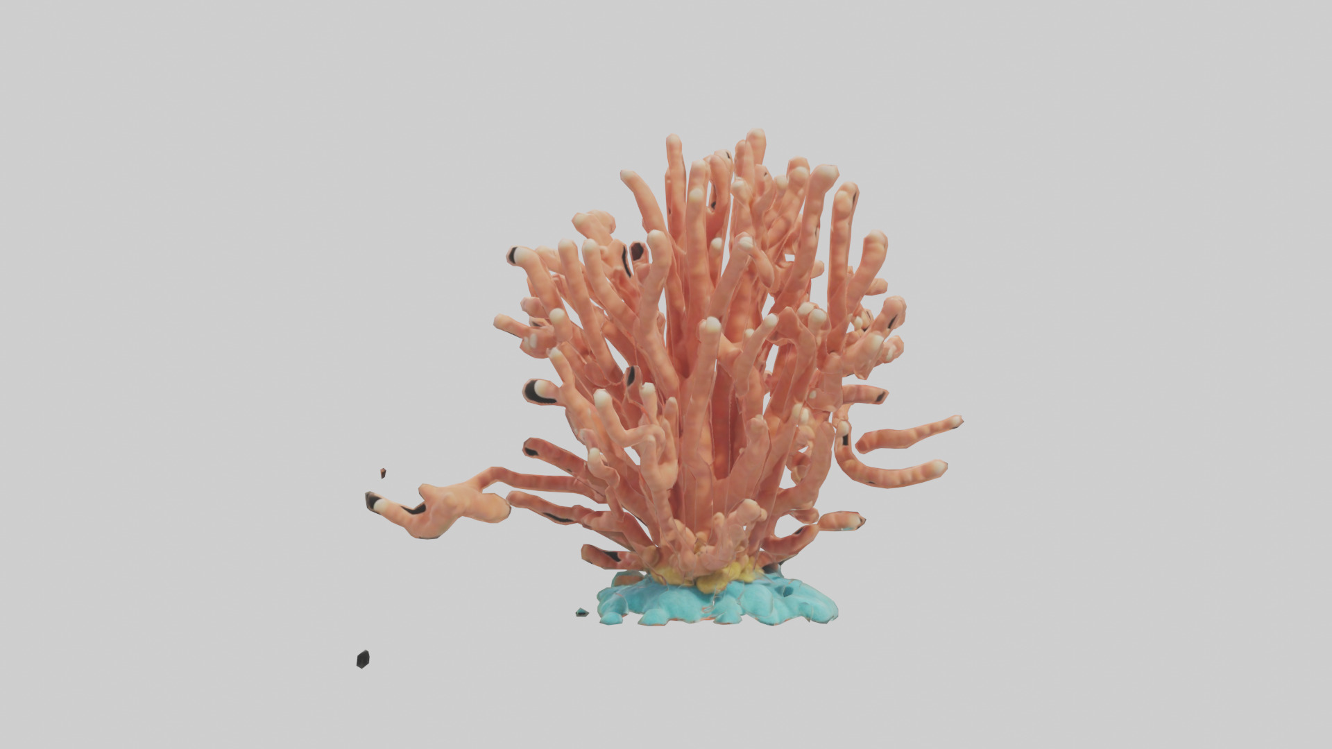Cartoon Coral model 3D model_9