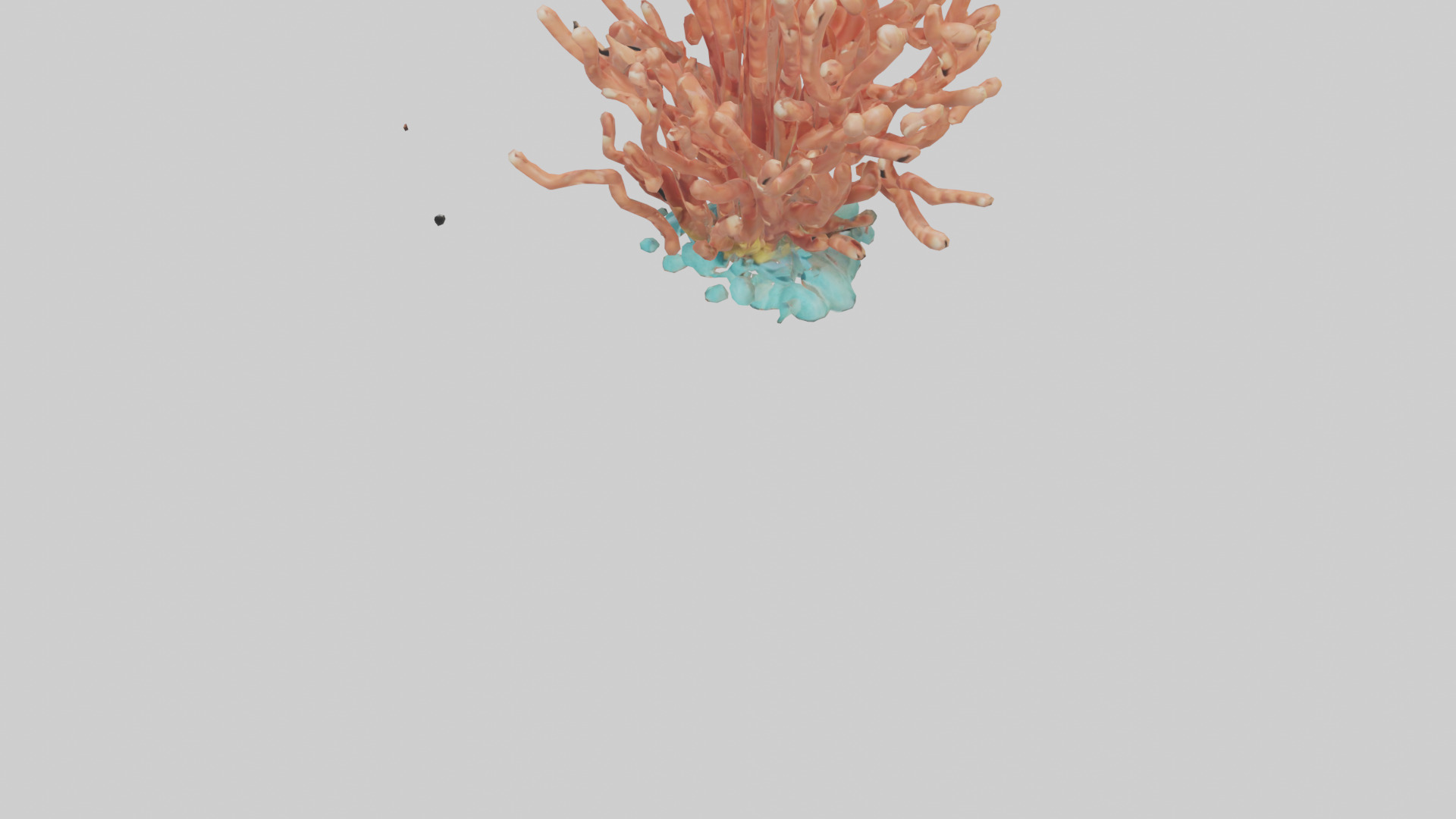 Cartoon Coral model 3D model_5