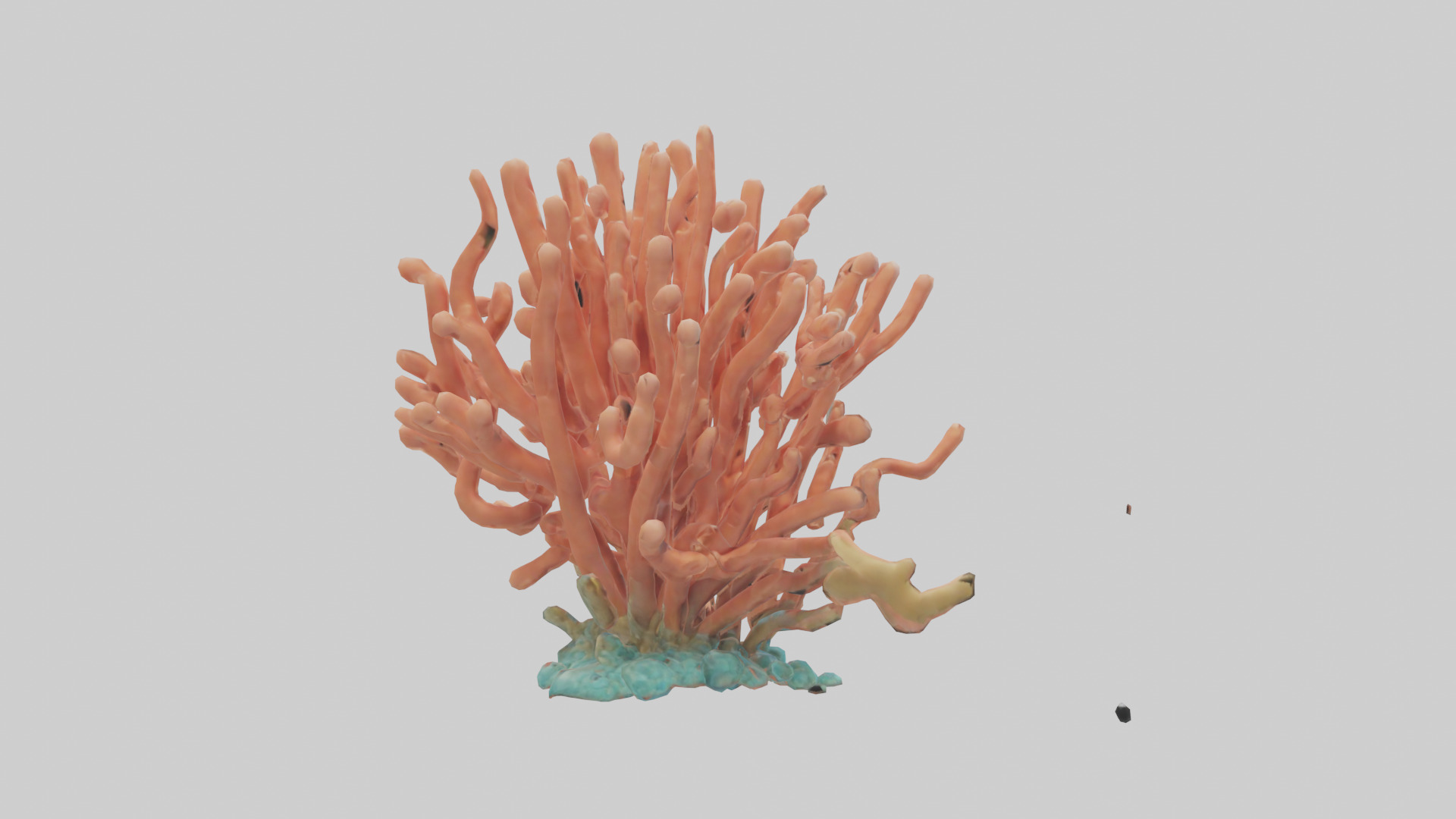 Cartoon Coral model 3D model_2