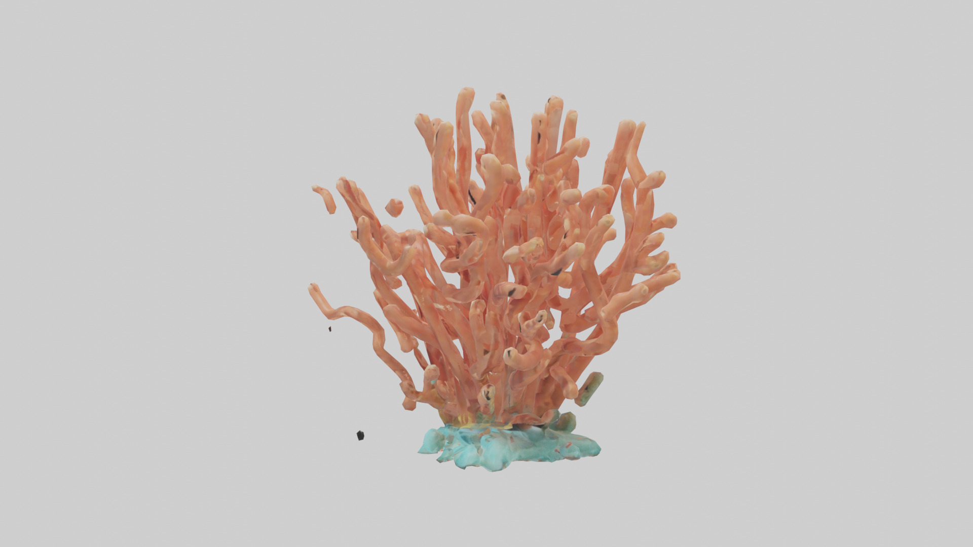 Cartoon Coral model 3D model_12