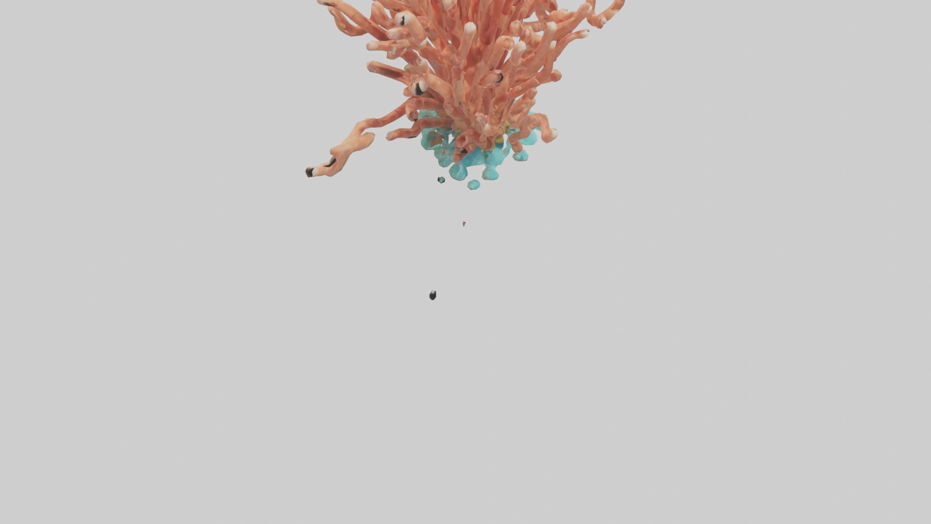 Cartoon Coral model 3D model_6