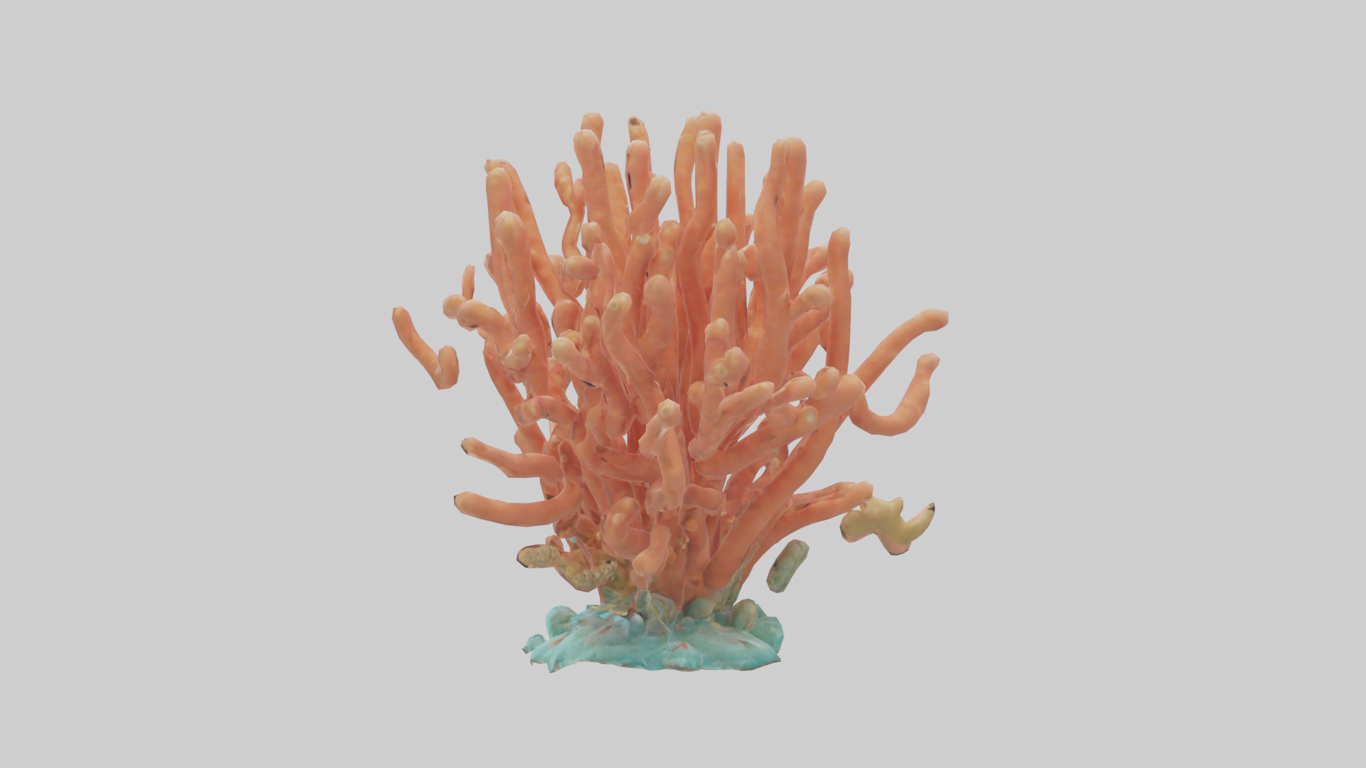 Cartoon Coral model 3D model_1