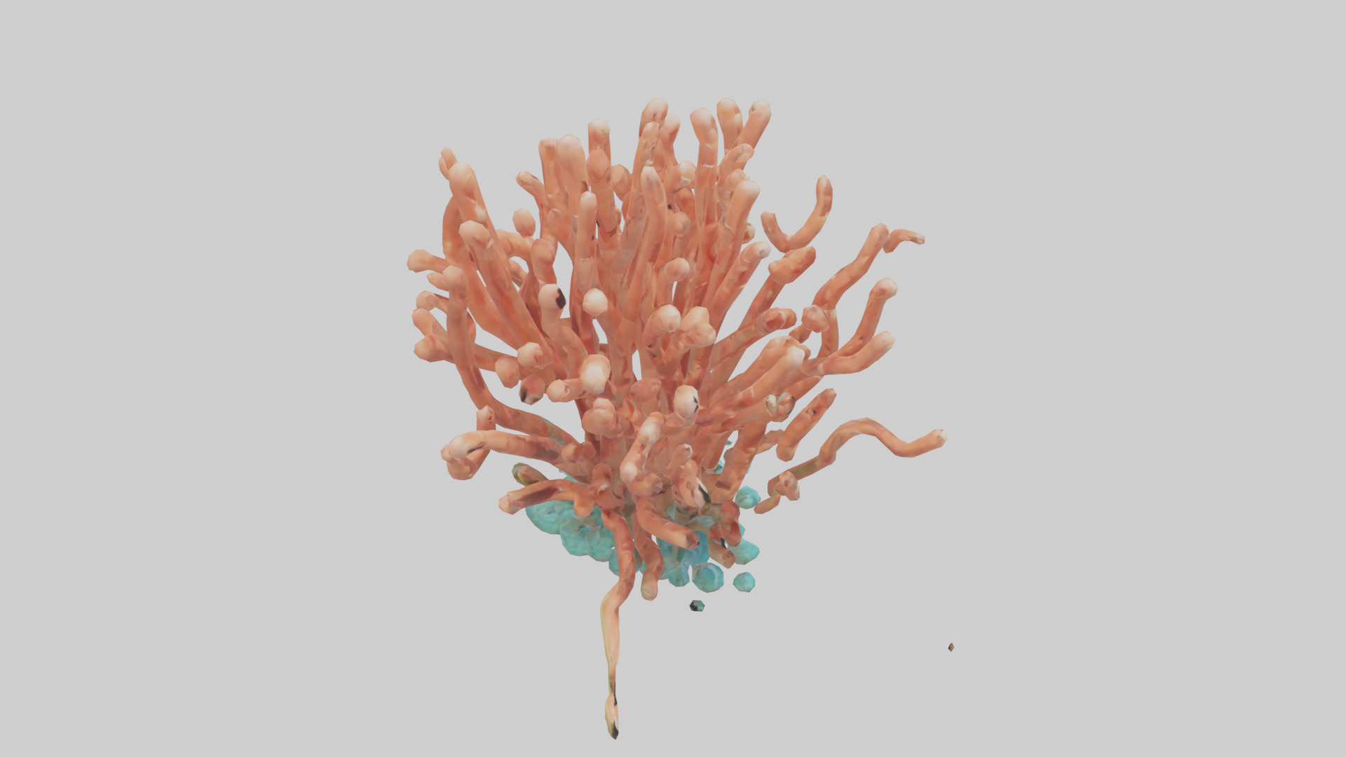 Cartoon Coral model 3D model_18