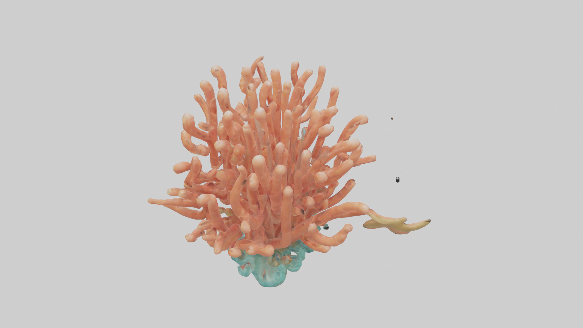 Cartoon Coral model 3D model_15