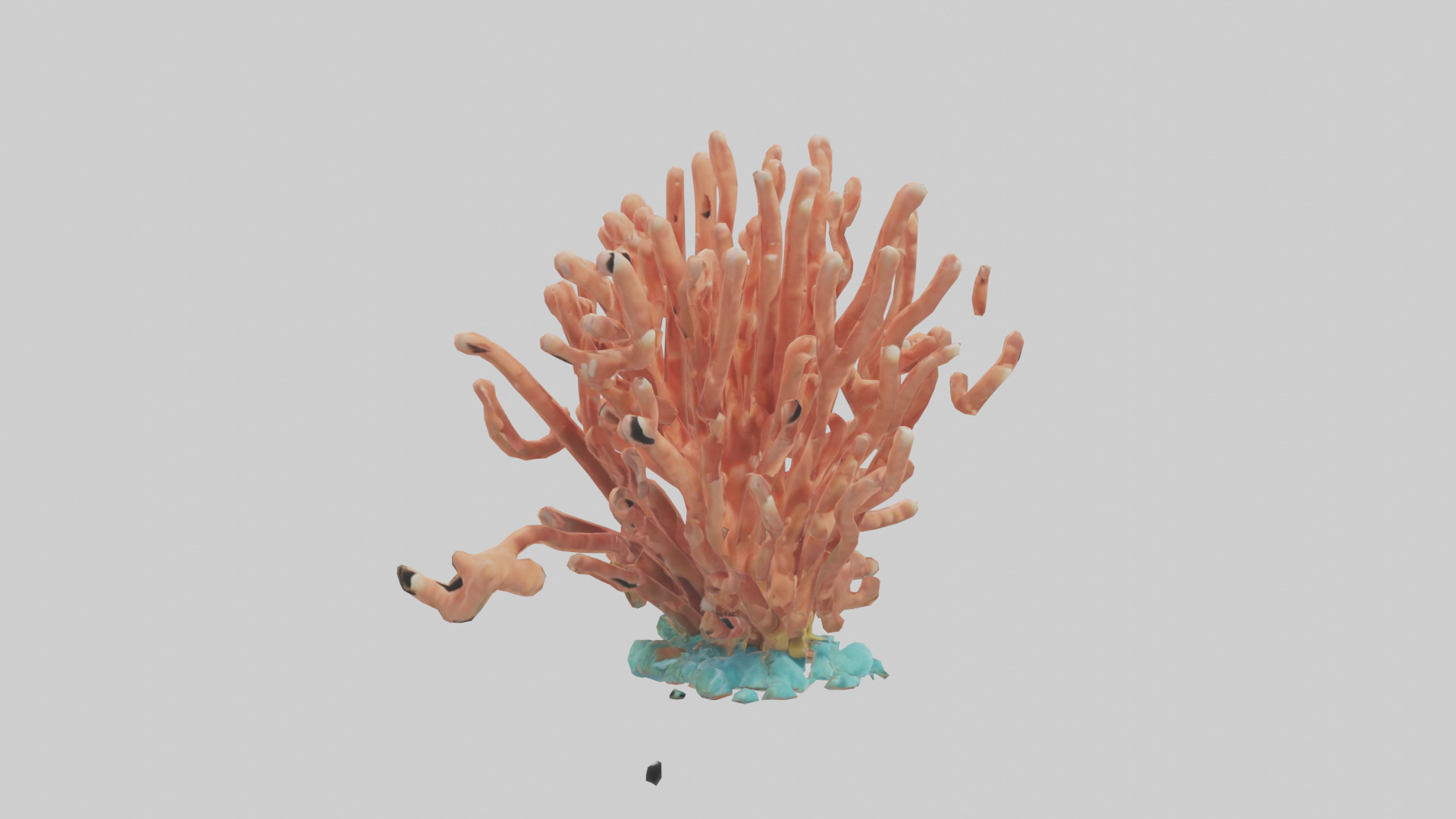 Cartoon Coral model 3D model_7