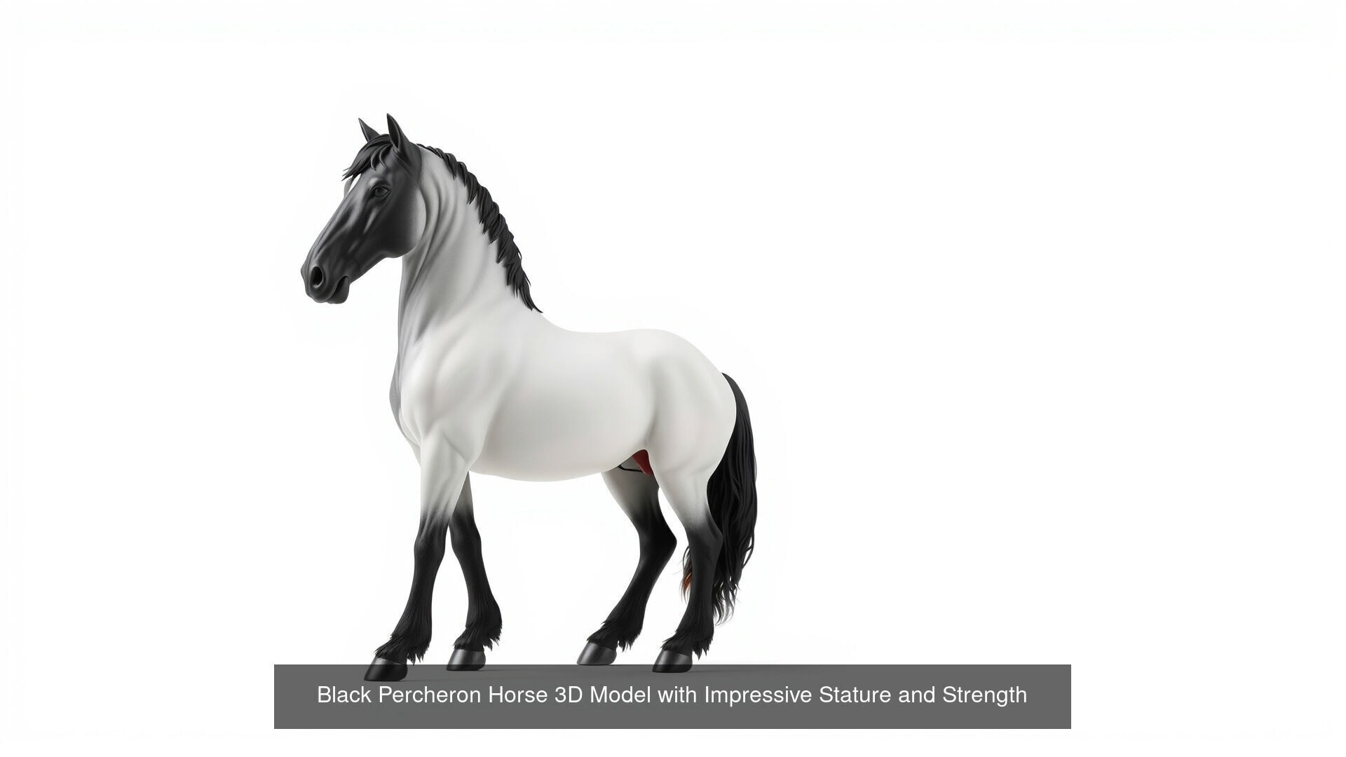 Horses of Different Breeds Pack 3D Model Collection_15