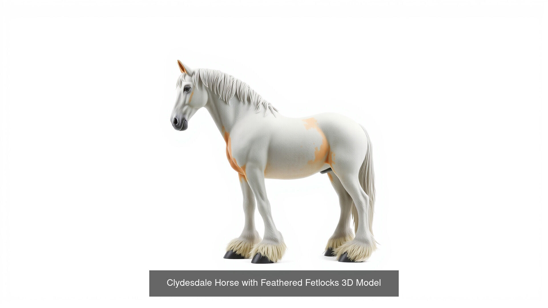 Horses of Different Breeds Pack 3D Model Collection_11
