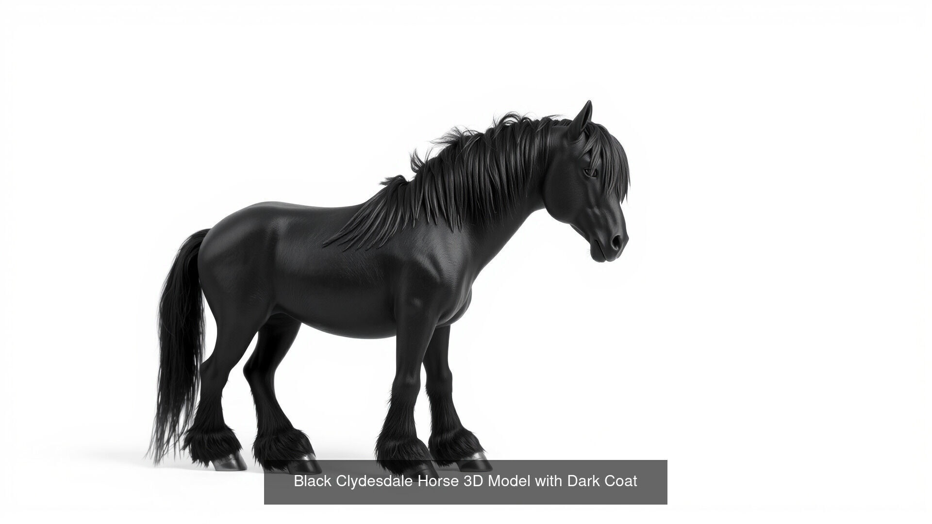 Horses of Different Breeds Pack 3D Model Collection_1