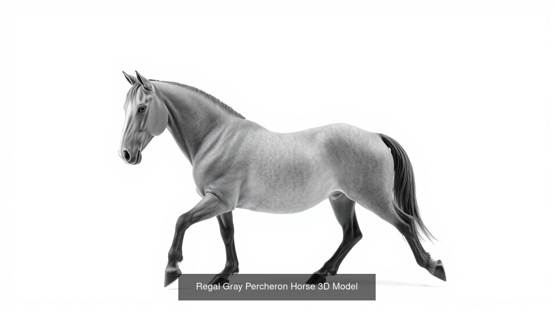 Horses of Different Breeds Pack 3D Model Collection_16