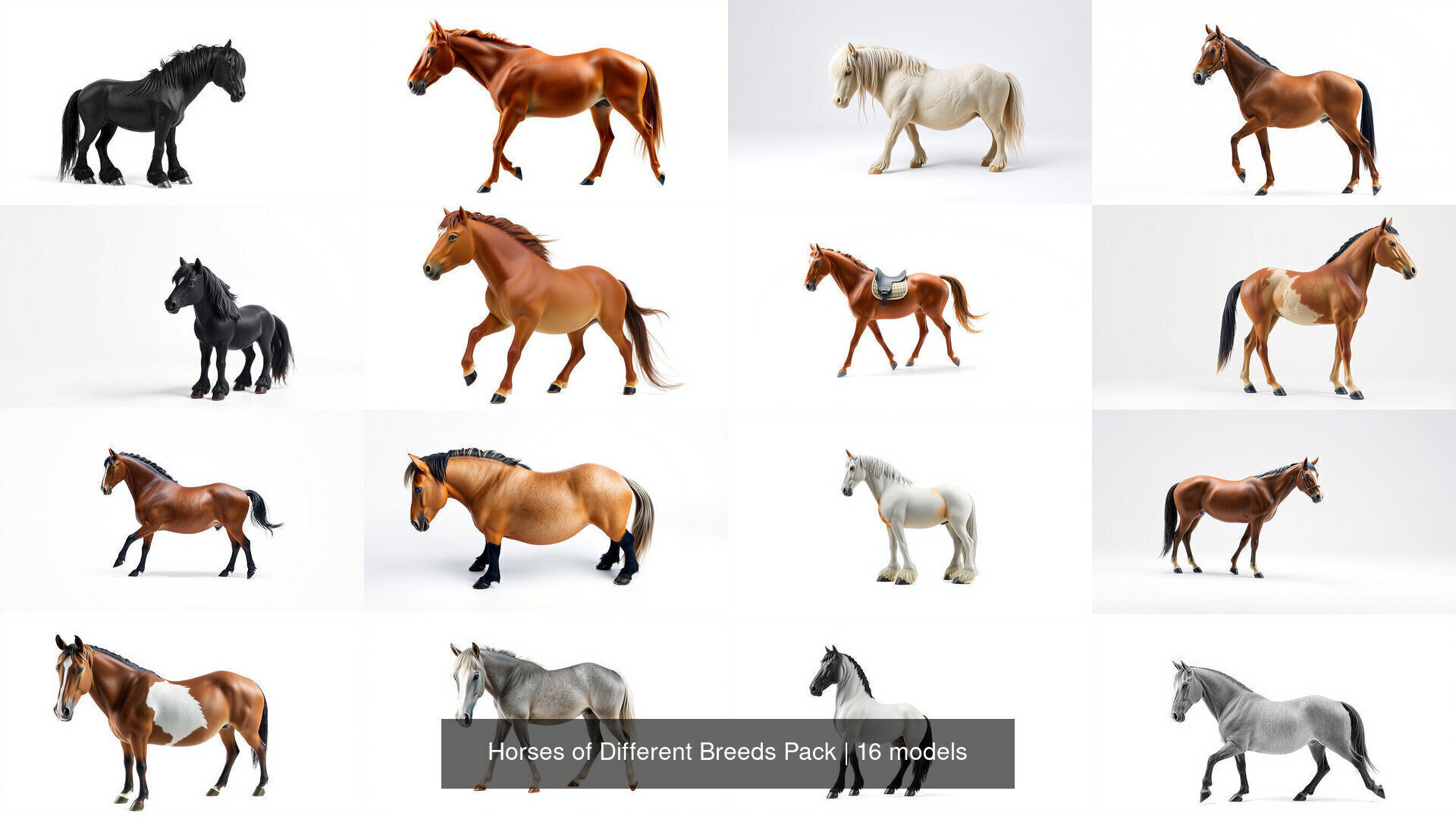 Horses of Different Breeds Pack 3D Model Collection_3