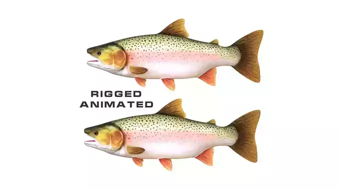 Low-Poly Rainbow Trout Animated Low-poly 3D model