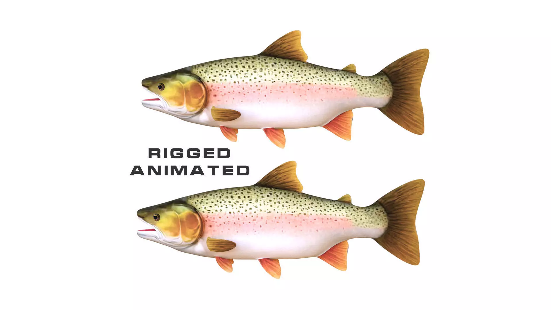 Low-Poly Rainbow Trout Animated Low-poly 3D model_0