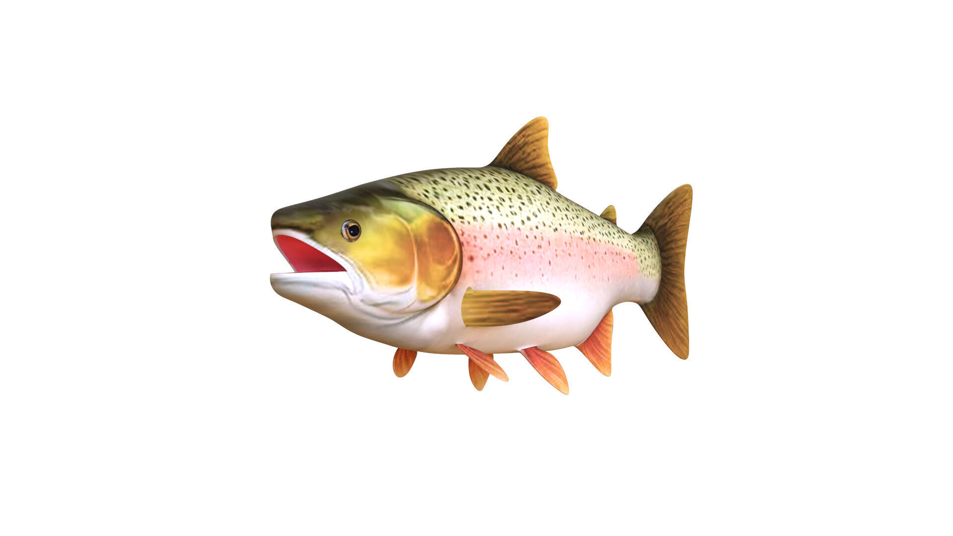 Low-Poly Rainbow Trout Animated Low-poly 3D model_7