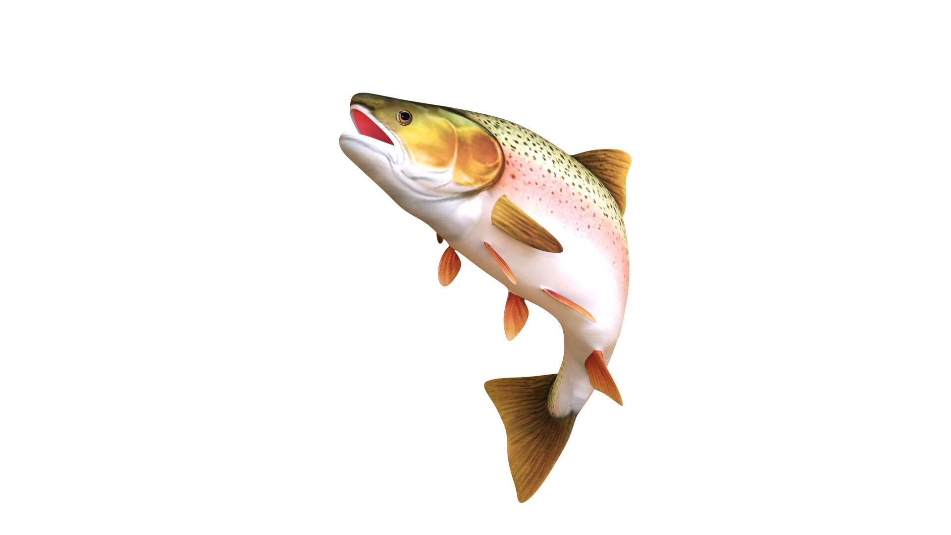 Low-Poly Rainbow Trout Animated Low-poly 3D model_5