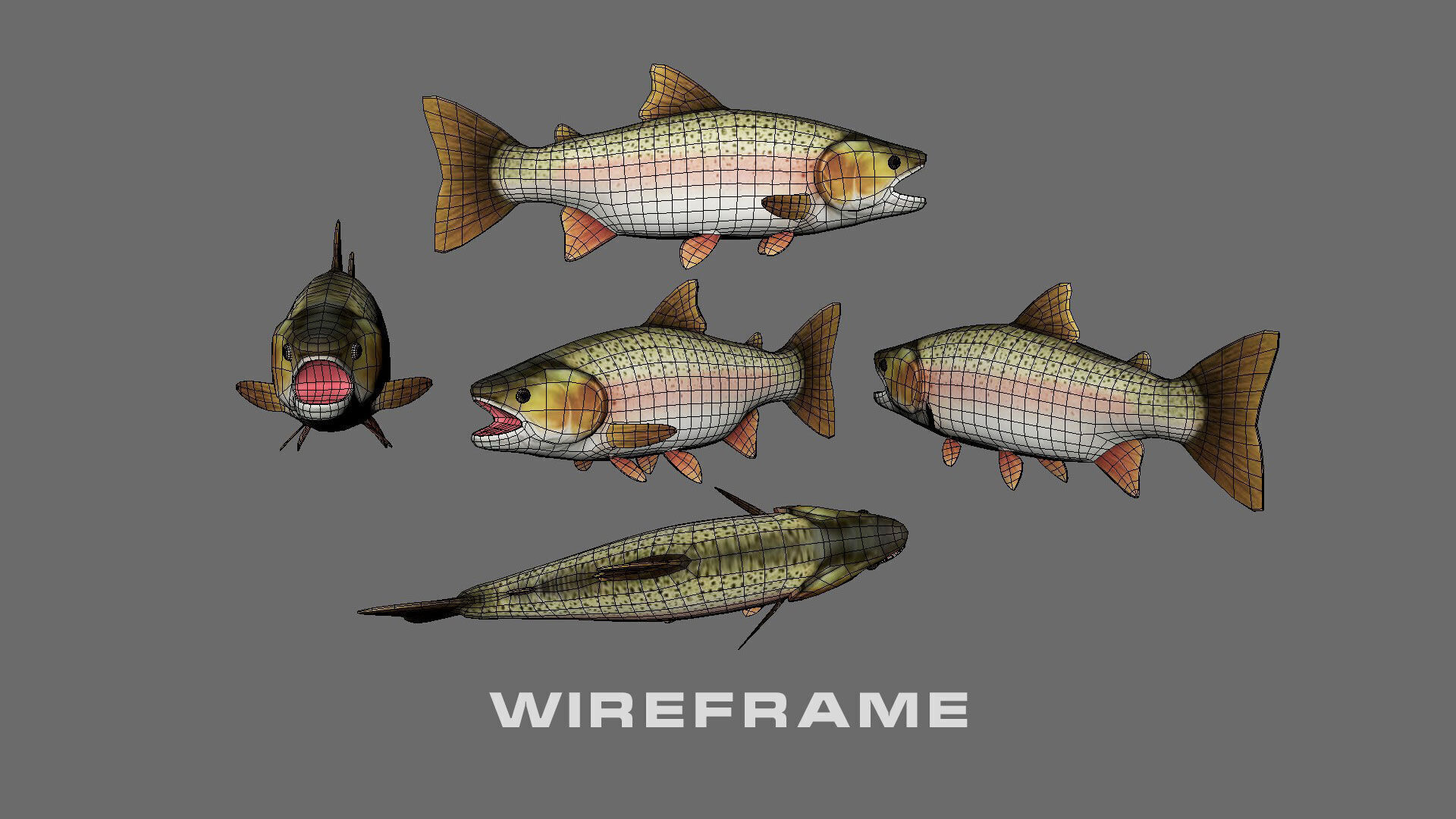 Low-Poly Rainbow Trout Animated Low-poly 3D model_11