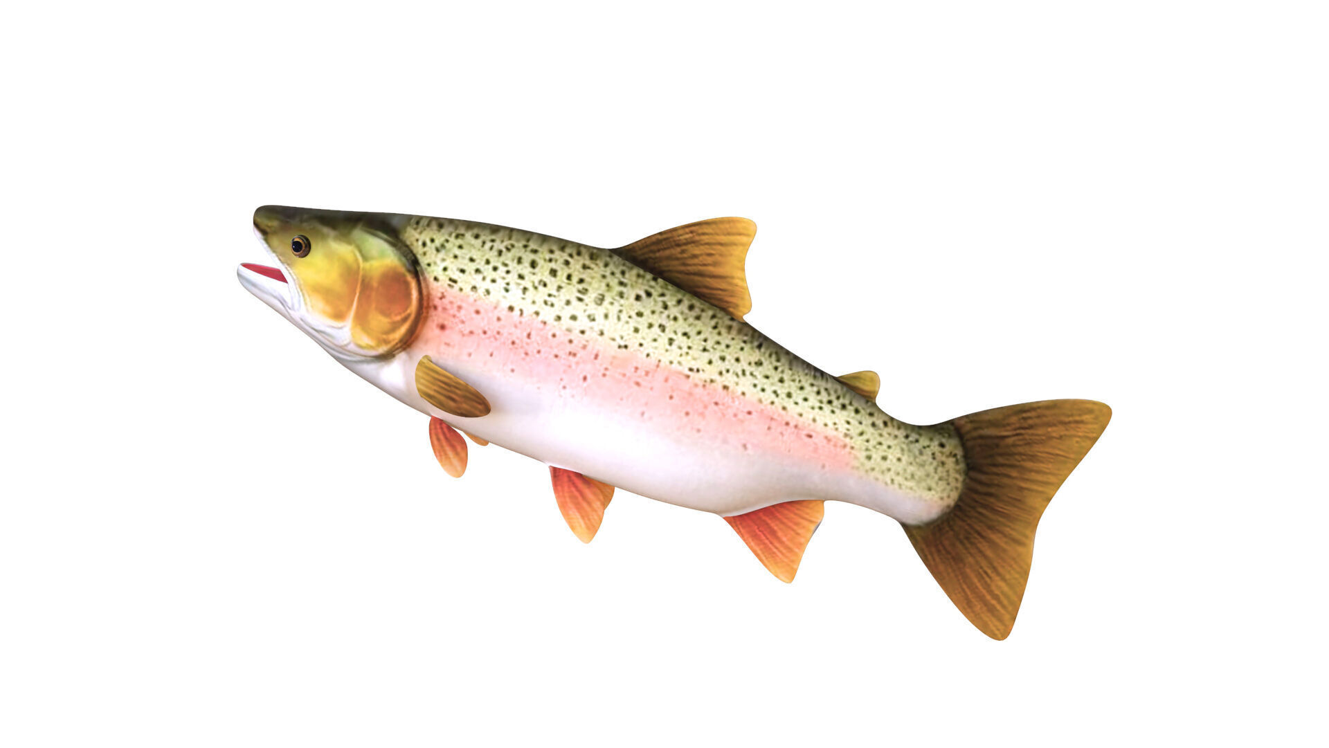 Low-Poly Rainbow Trout Animated Low-poly 3D model_4