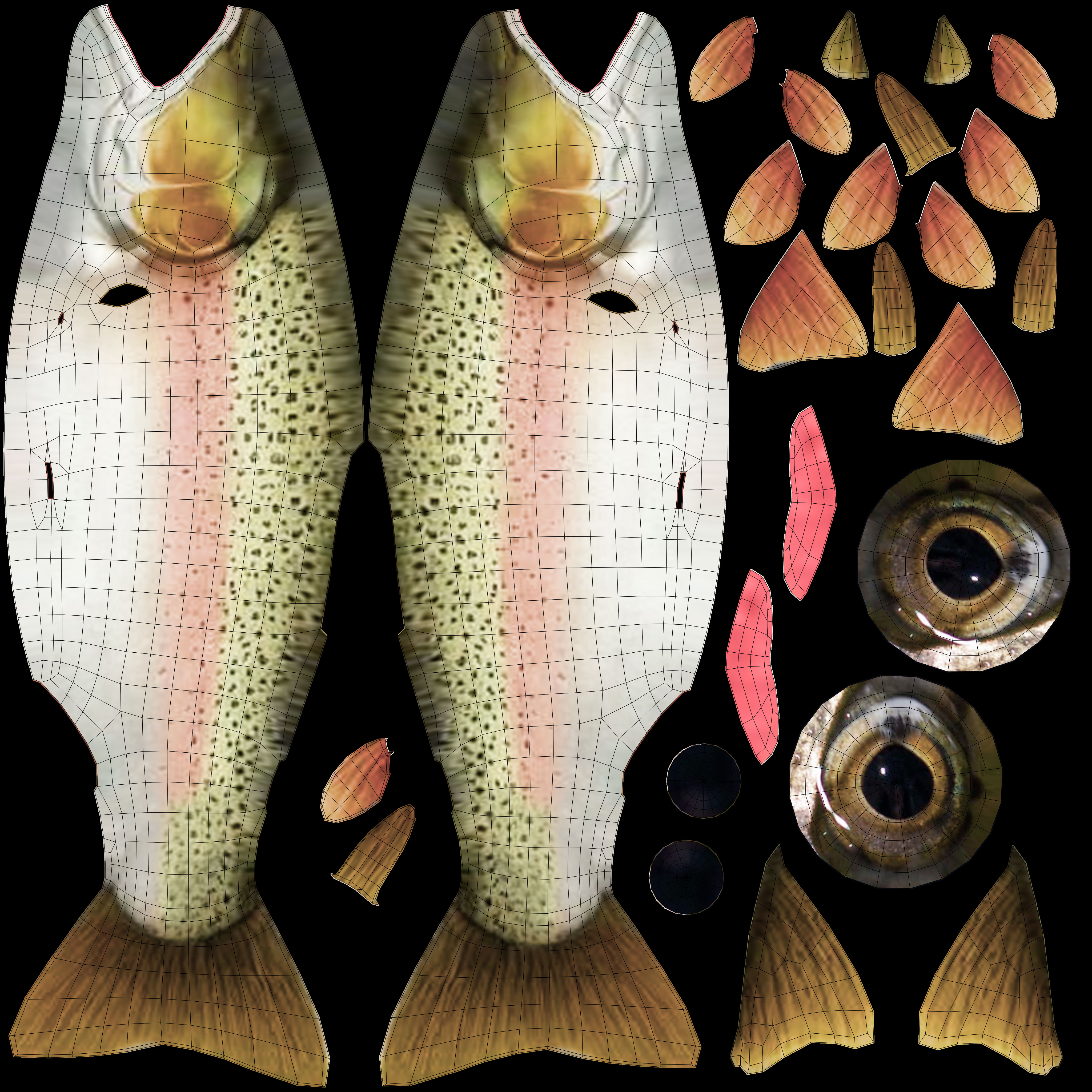 Low-Poly Rainbow Trout Animated Low-poly 3D model_13