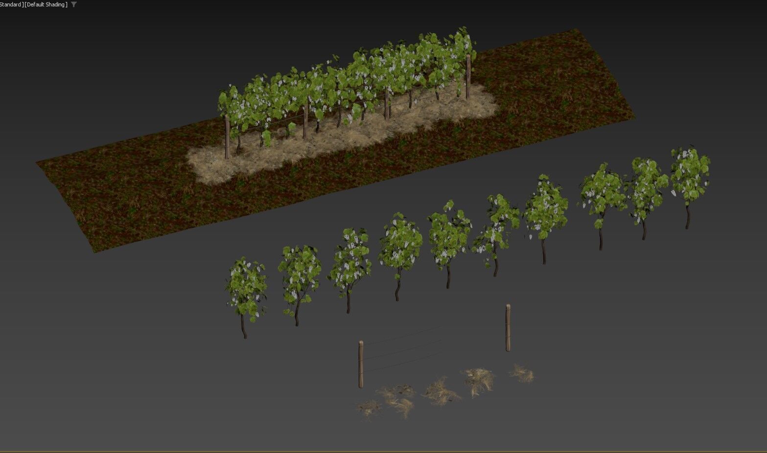 Vineyard Grapes Plant  3D model_5