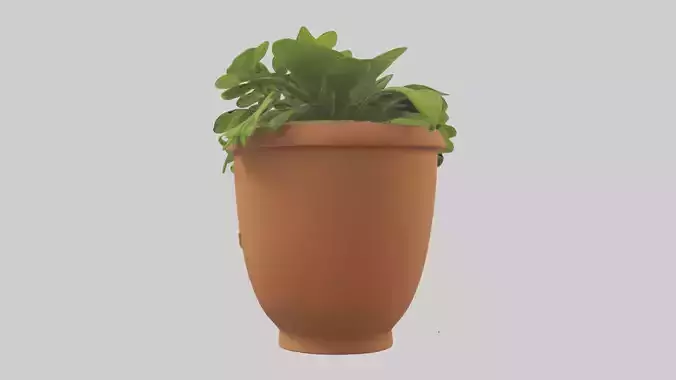 Cartoon Plant Pot model
