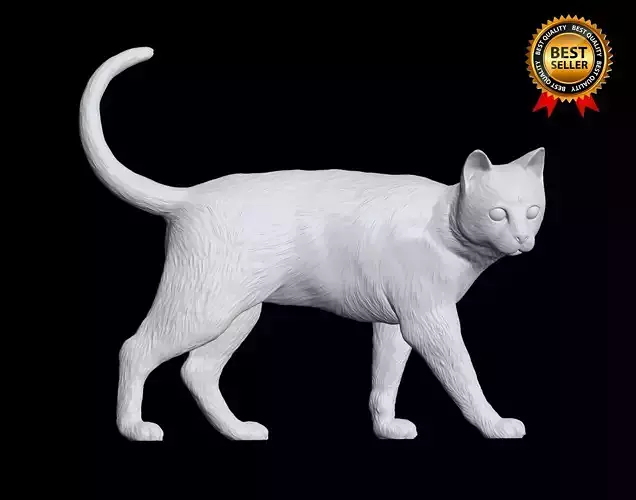 Cat 3D Print model