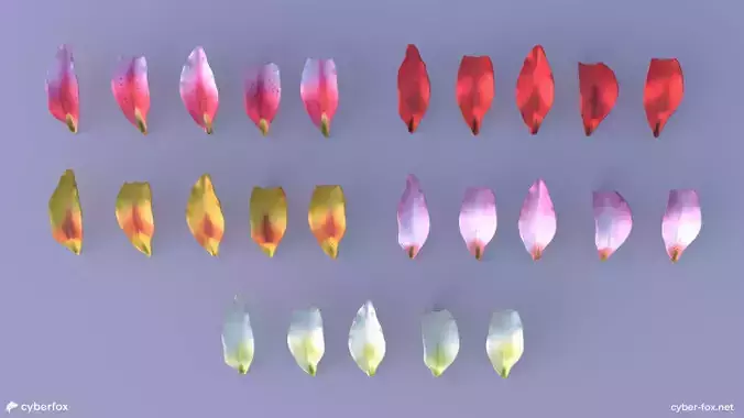 Lily Petals in 5 Colors Low-poly 3D model