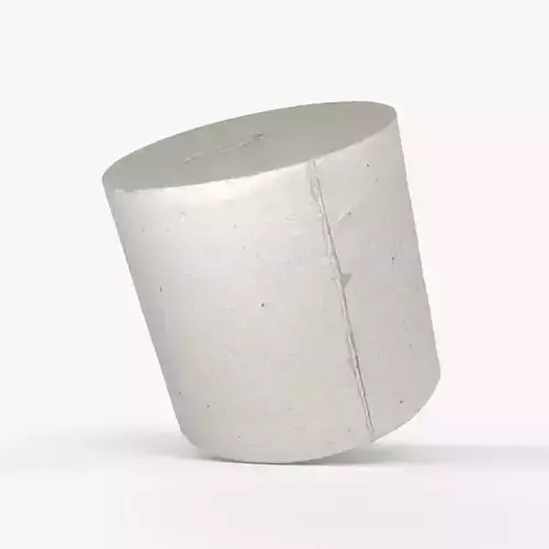 Photorealistic 3D scan of toilet paper