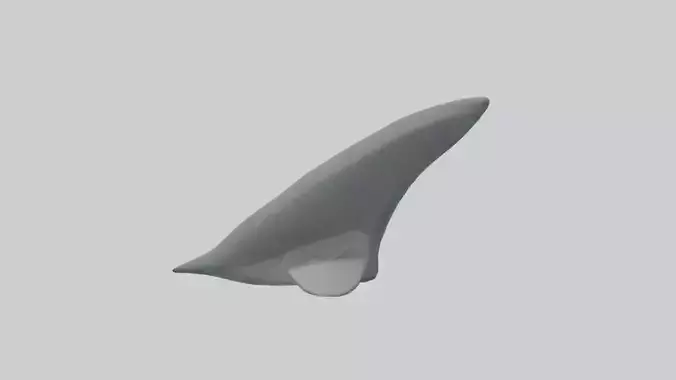 Cartoon Shark Fin model