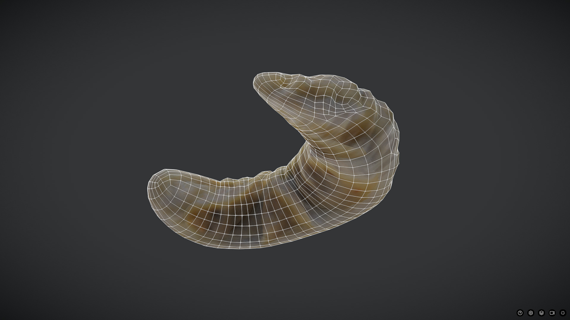 Dumpling Low-poly 3D model_4