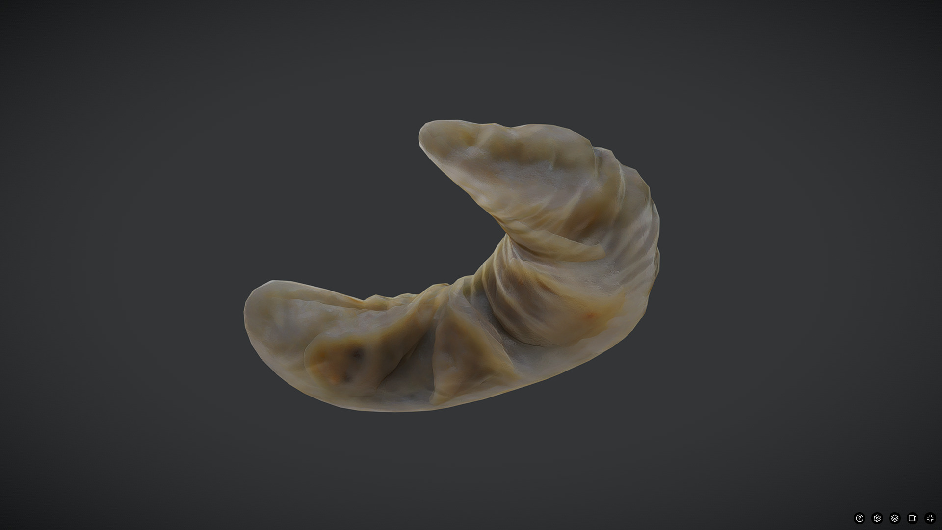 Dumpling Low-poly 3D model_3