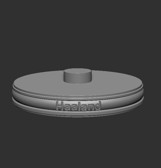 Erling Haaland Stone 3D print model_10