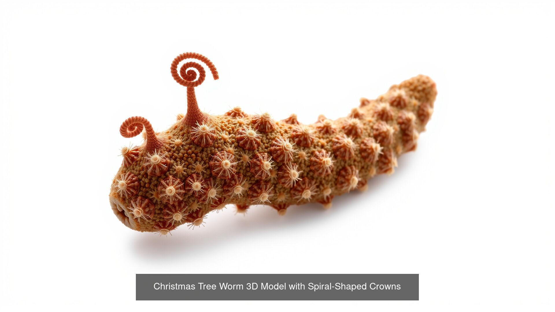 Strange Sea Creatures Pack 3D Model Collection_10