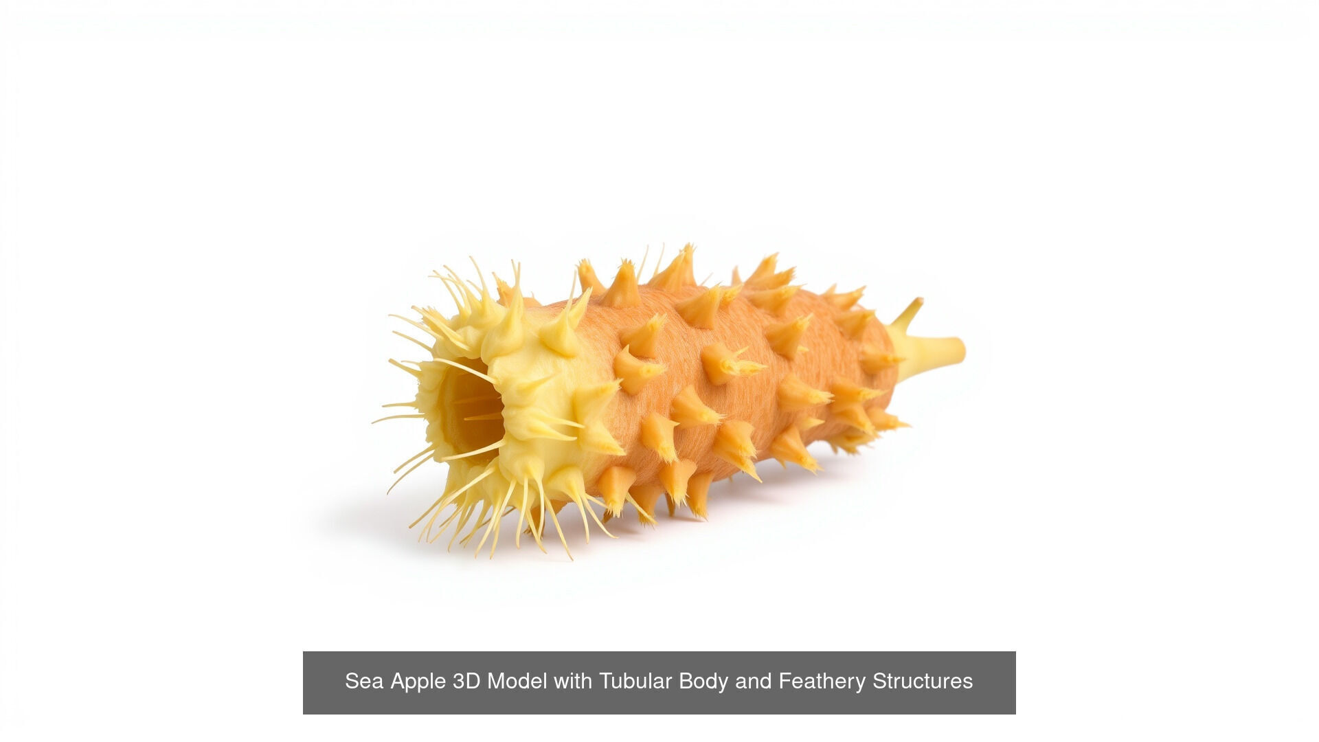 Strange Sea Creatures Pack 3D Model Collection_9