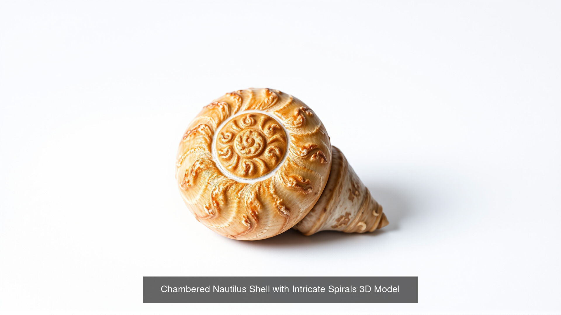 Strange Sea Creatures Pack 3D Model Collection_6