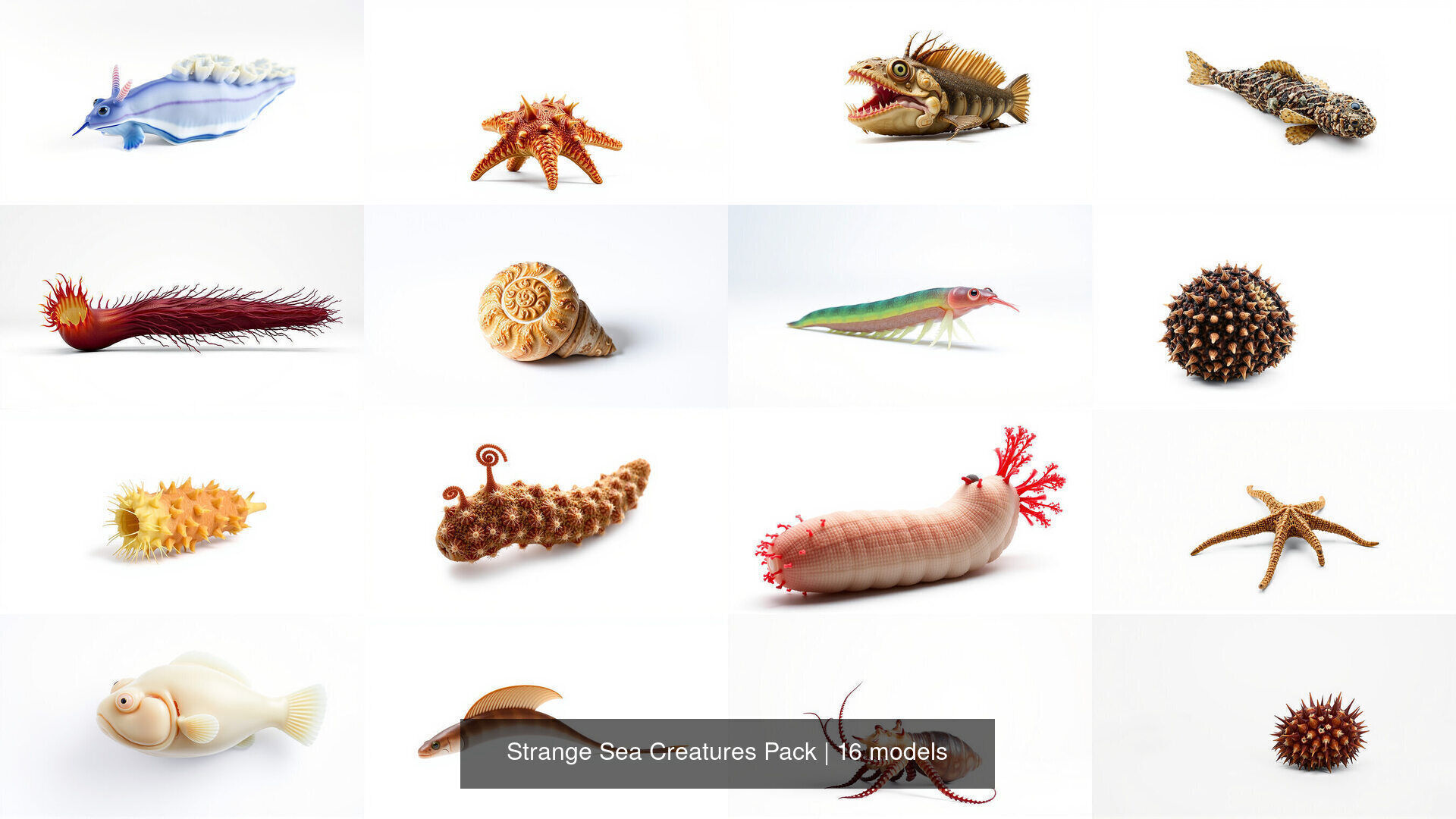 Strange Sea Creatures Pack 3D Model Collection_3