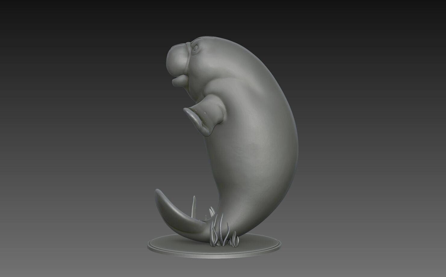 Manatee 3D Print Model 3D print model_2