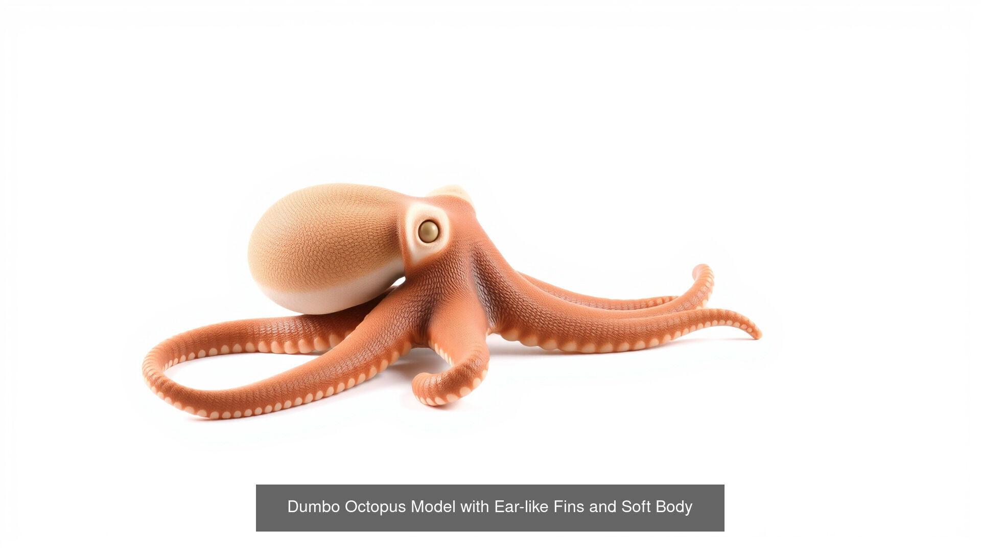 Fish and Sea Creatures Pack 3D Model Collection_4