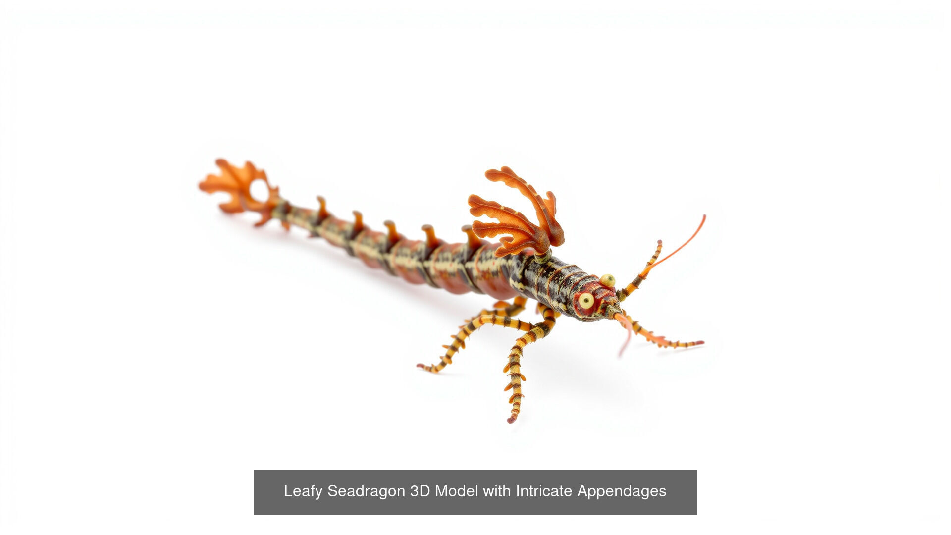 Fish and Sea Creatures Pack 3D Model Collection_2