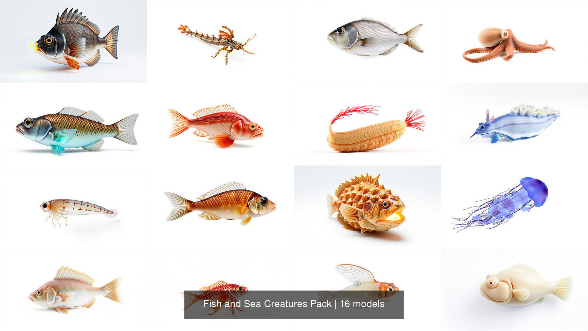 Fish and Sea Creatures Pack 3D Model Collection_3