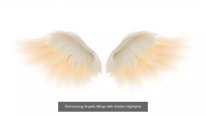 Fantasy Wings Pack 3D Model Collection