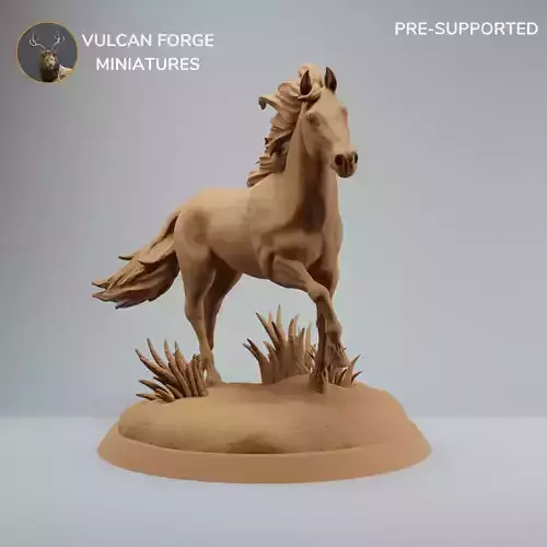 Horse stallion running pre supported