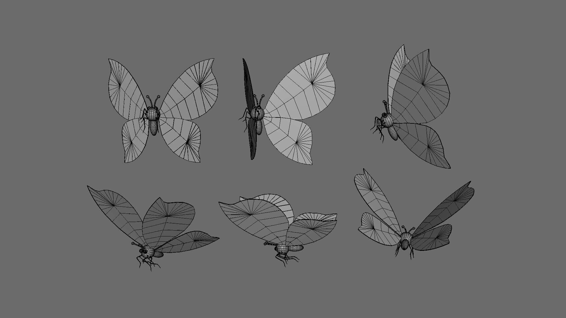 Cartoon Butterfly Wing Flapping 01 Animated Low-poly 3D model_10