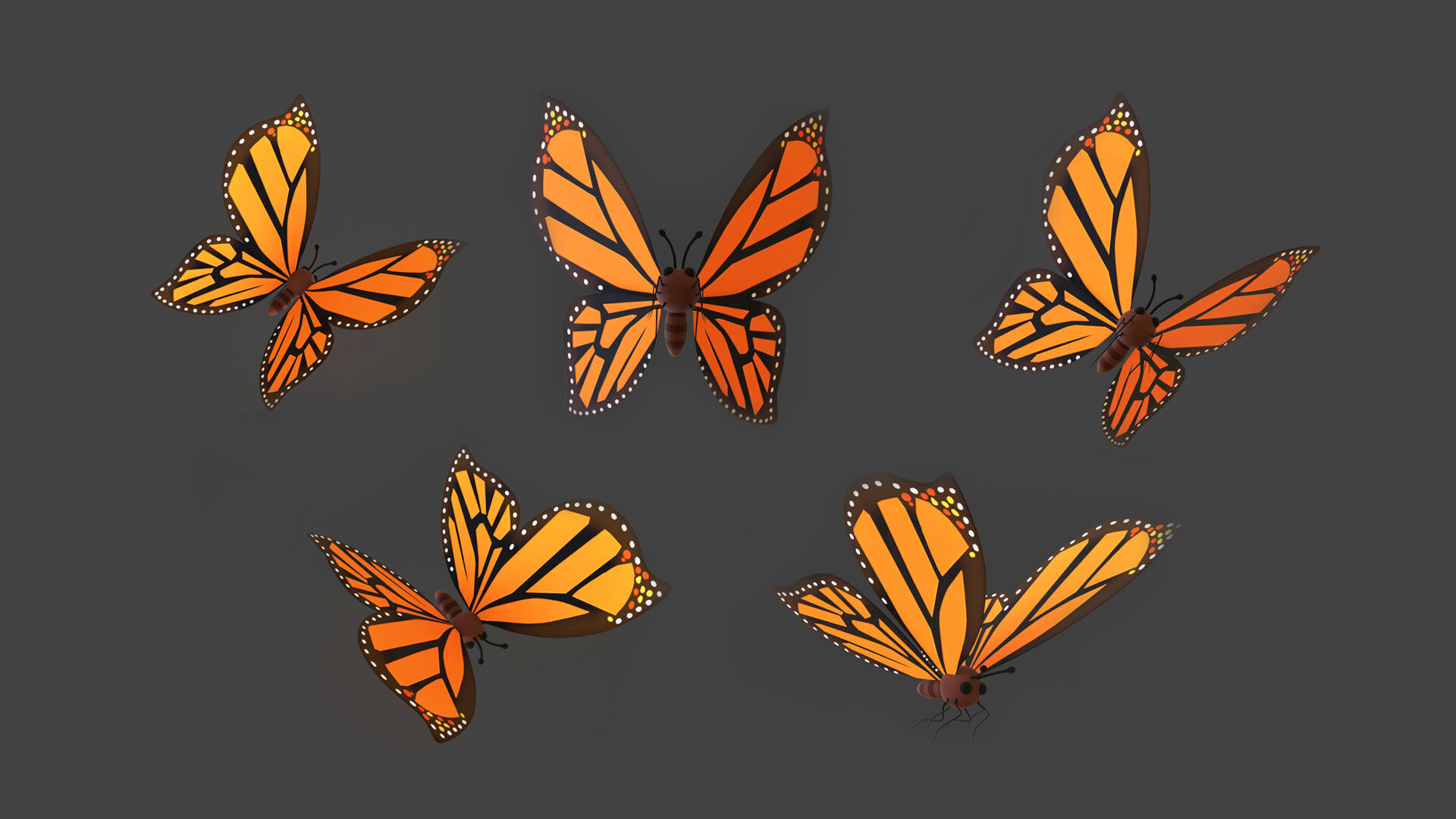 Cartoon Butterfly Wing Flapping 01 Animated Low-poly 3D model_4